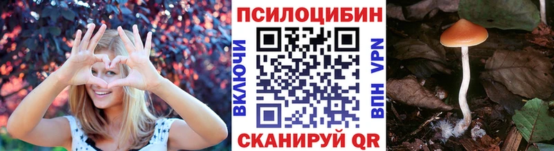 Галлюциногенные грибы MAGIC MUSHROOMS  Купить где  Артёмовский 